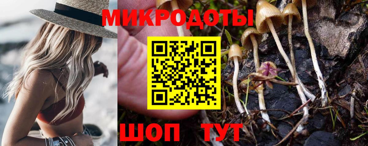 Псилоцибиновые грибы Psilocybine cubensis Орехово-Зуево