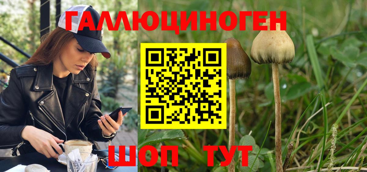 Псилоцибиновые грибы мицелий  Вход с VPN  Орехово-Зуево  Псилоцибиновые грибы MAGIC MUSHROOMS 